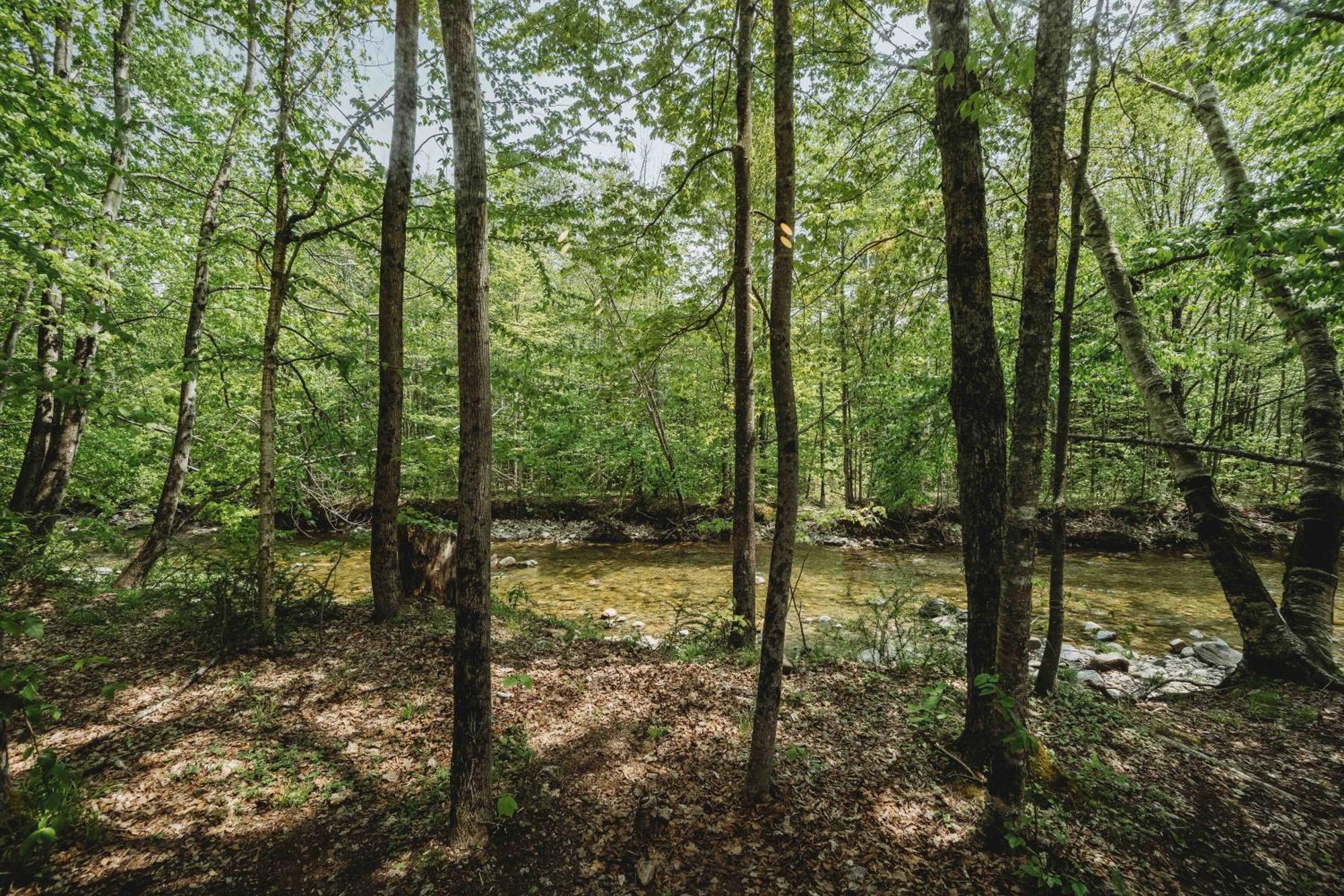 Lumen Nature Retreat Woodstock Chambre photo